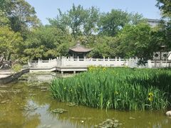-莲湖公园