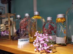 -南瓜谷塔罗(和义店)