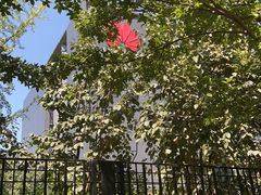 -华为西安研究所v4-食堂1