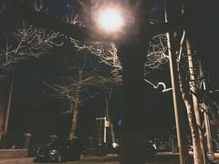 -大学路8号炸串(大学路十四号院店)
