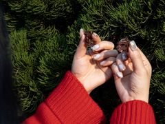 -Laderach 莱德拉(上海环贸iapm店)