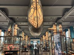 -美国自然历史博物馆