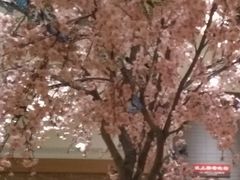 二层榻榻米-大江户·温泉洗浴(浑南店)
