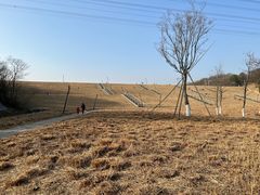 -佛手湖郊野公园