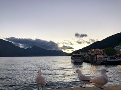 -Patagonia Chocolates(皇后镇店)