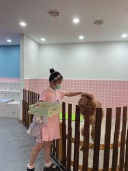 -Moni星球萌宠·小马宝莉·灵蛇·高端高阶全萌宠互动体验俱乐部(红豆国际广场店)