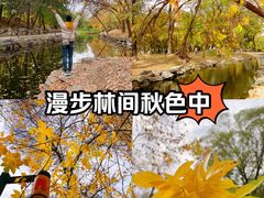 -圆明园遗址公园-藻园门售票处