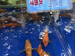 -渔民新村(番禺总店)