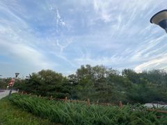 -燕郊植物园