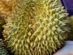 -皇室假期美食水疗会(春风路店)