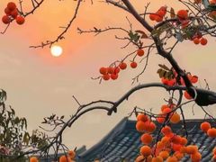 -儒之堂·足道养生SPA影院式(万融城店)