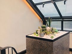 -大树餐厅(红旗街万达店)