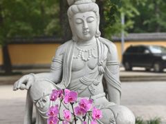 -灵谷景区