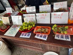 -马陆小张葡萄园农家乐