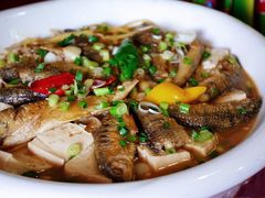 -鹭岛新泉客家菜·海鲜·融合菜(莲前店)