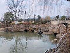 -径山花海