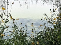-金银湖国家城市湿地公园