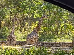 -北京野生动物园