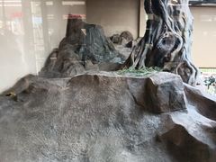 -宁波野生动物园