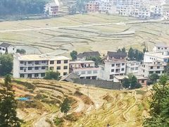 -紫鹊界梯田景区