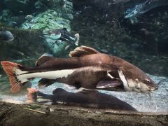 -北京海洋馆
