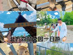 -哈尔滨北方森林动物园