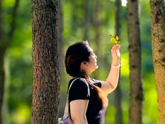 -洛阳白云山景区