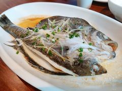 清蒸海鲈鱼-京粤荟(海王银河科技大厦店)