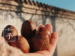 -秋栗香(地安门店)
