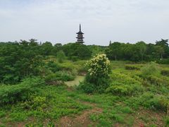 -太阳岛度假酒店