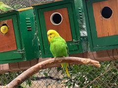 -南宫五洲植物乐园