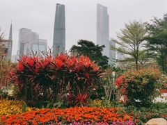 -二沙岛艺术公园