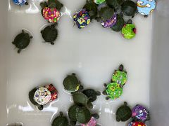 -三旗百汇商品城