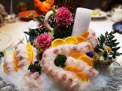 涮食河豚鱼-鲐赏河豚(长寿店)