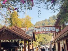 -野象谷景区