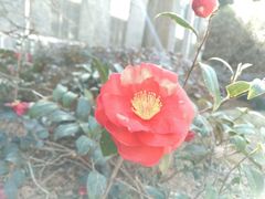 -复旦大学光华楼