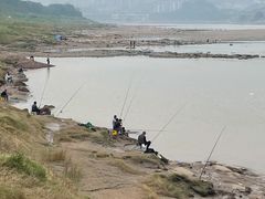 -金海湾滨江公园