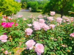 -奉浦四季生态园