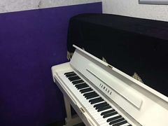 -弘智卉艺术教育/高端琴房(中央音乐学院店)