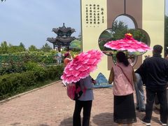 -曹州牡丹园