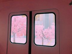 -金茂览秀城