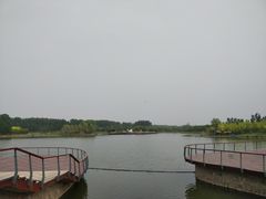 -东郊湿地公园