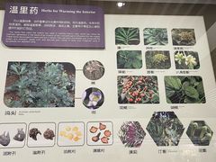 -北京中医药大学-中医药博物馆