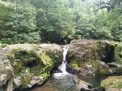 -龙苍沟森林公园