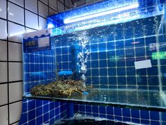 -大厨的餐厅(曾厝垵总店)