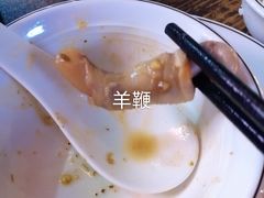 -东山羊庄(八卦岭店)