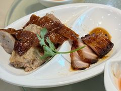 深井烧鹅-庄氏祥记家常食府(国瑞建材家居博览中心店)