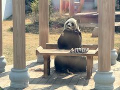 -无锡动物园·太湖欢乐园