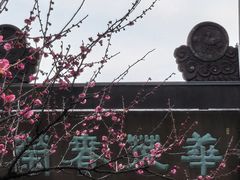 -杭州半山国家森林公园