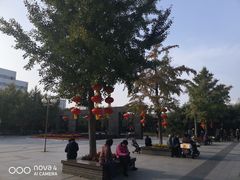 -丰台科技园生态主题公园